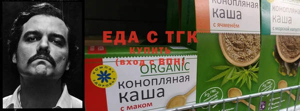 кокс Краснотурьинск