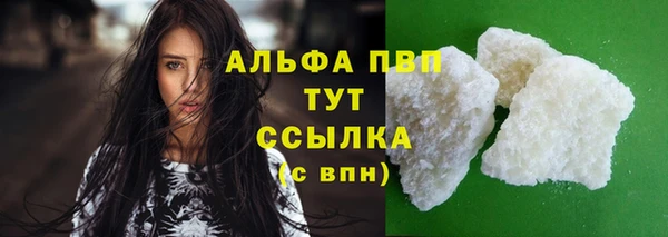 гашик Корсаков