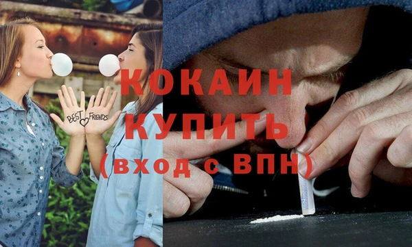 гашик Корсаков