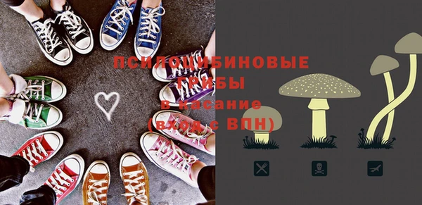 гашик Корсаков