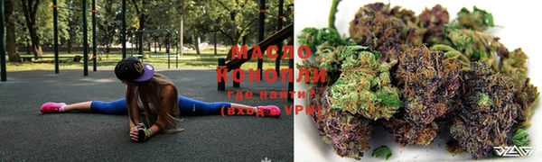 гашик Корсаков