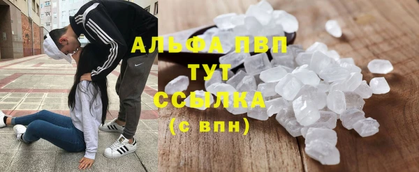 гашик Корсаков
