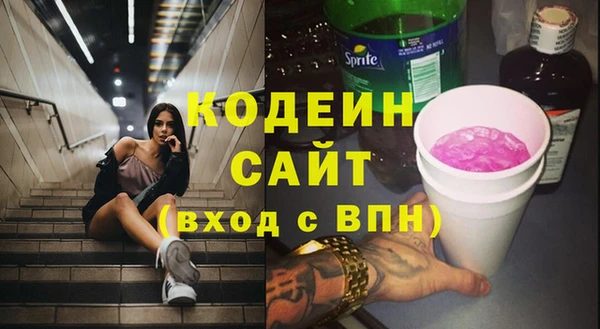 гашик Корсаков