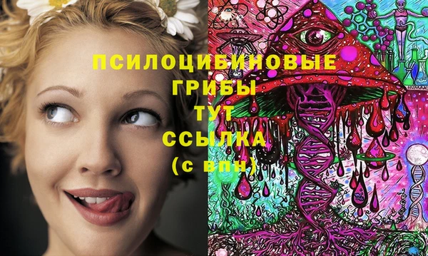 гашик Корсаков